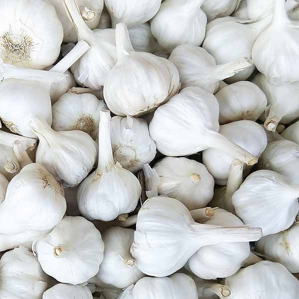 Cured Garlic